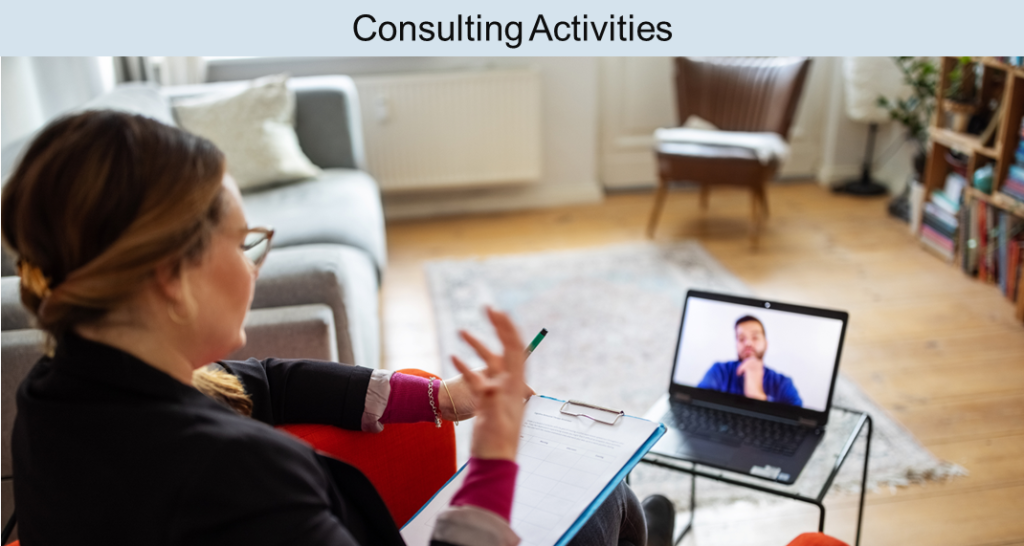 Consulting activities